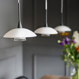 Steinhauer Hanglamp Tallerken 2654ZW Steinhauer Hanglamp Tallerken 2654ZW