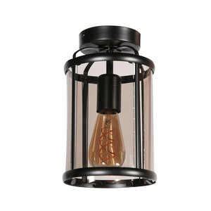 Steinhauer von Steinhauer Deckenleuchte Pimpernel  5973ZW