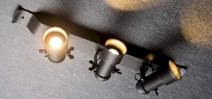 Robers Leuchten Deckenleuchten & Deckenlampen fürs Bad von Robers Leuchten Industrial Deckenleuchte ST2628