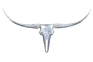 Wanddekoration Geweih BULL von Casa Élite