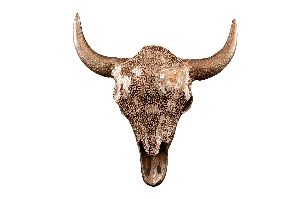 Casa Élite Figuren / Objekte