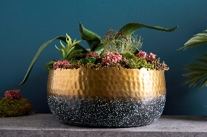 Casa Élite Schalen von Casa Élite Schale ORIENT 41561