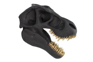 Figuren von Casa Élite Wanddeko-Skulptur T-REX  48059