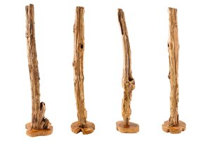 Figuren von Casa Élite Skulptur REEF  35488