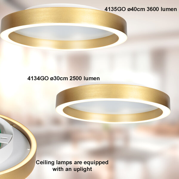 Deckenlampe Ringlux der Firma Steinhauer