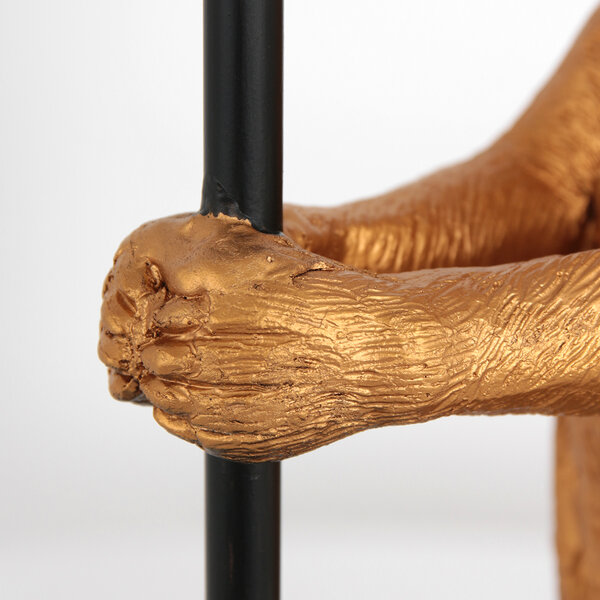 3126ZW + K3084FS der Firma Steinhauer