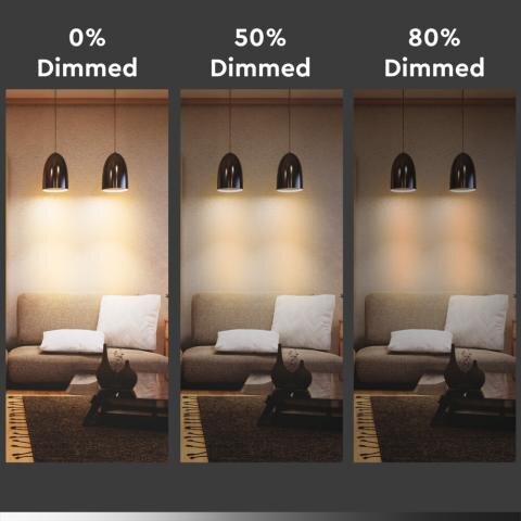 LED-Lichtquelle der Firma Steinhauer