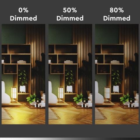 LED-Lichtquelle der Firma Steinhauer