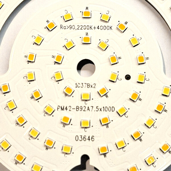 led  der Firma Steinhauer