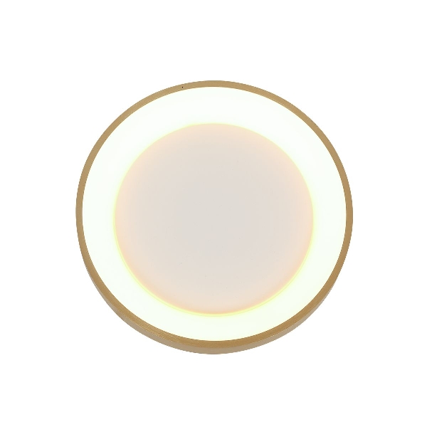 Deckenleuchte Ringlede der Firma Steinhauer