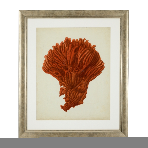 Drucke Antike rote Korallen Satz von 6 der Firma Eichholtz