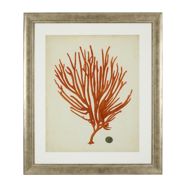 Drucke Antike rote Korallen Satz von 6 der Firma Eichholtz