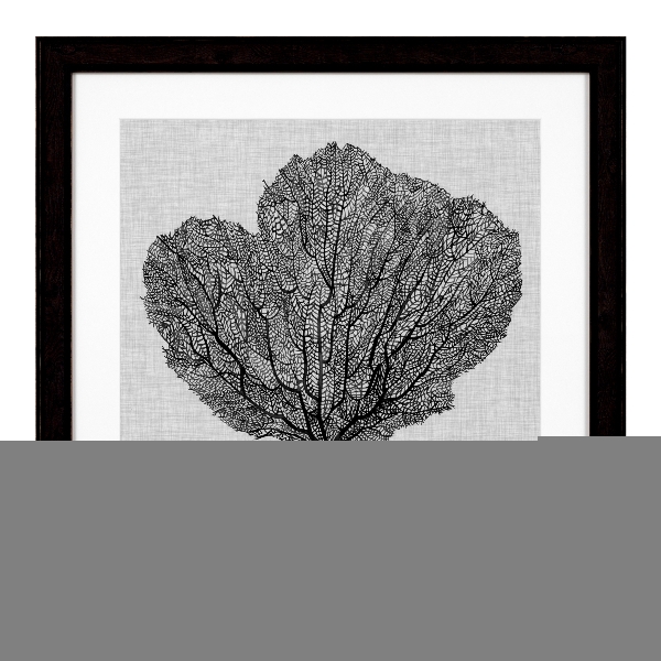 Drucke Schatten Meer Fans Satz von 4 der Firma Eichholtz