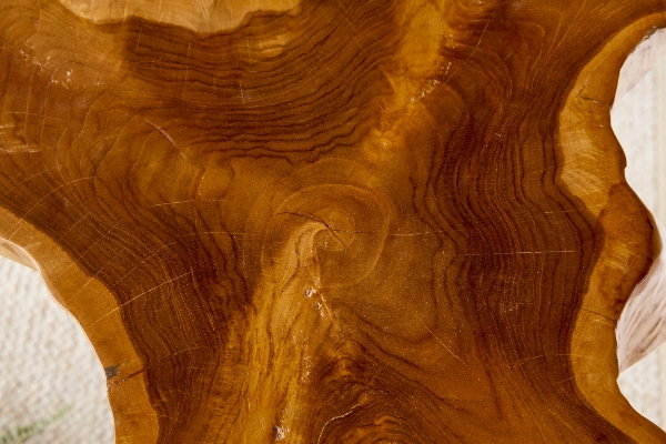 Couchtisch WILD der Firma Casa Élite