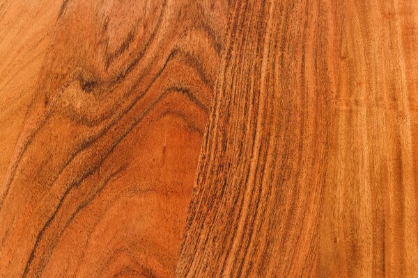 Schreibtisch MAMMUT  der Firma Casa Élite