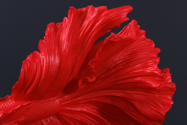 Deko-Fisch CROWNTAIL der Firma Casa Élite