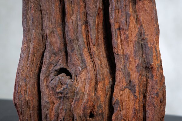 Table lamp ROUSILIQUE der Firma Casa Élite