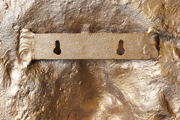 Wanddekoration WILDLIFE LION  der Firma Casa Élite