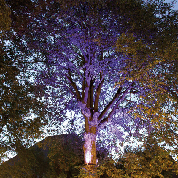 Light-Belt, Baumgurt der Firma dot-spot