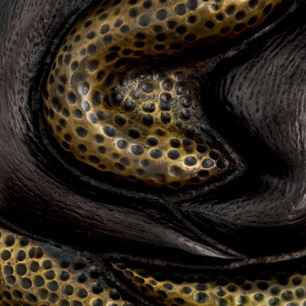 Wandleuchte Nuno der Firma Eichholtz